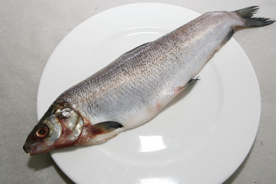 Владимир Путин предложил сделать рыбу более доступной для россиян